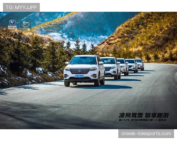 聚焦“新皮尔洛”:弗罗西诺内年轻中场如何用传球主导转换